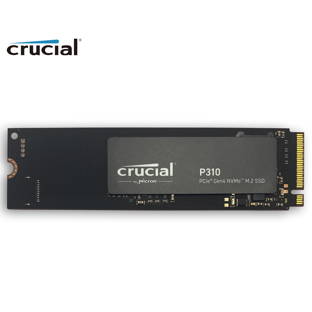Crucial P310 1TB 2280 PCIe Gen - Samsung Ssd 980 Pro recensione e prezzo